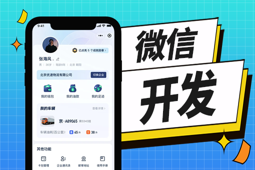 辽阳市软件制作厂家