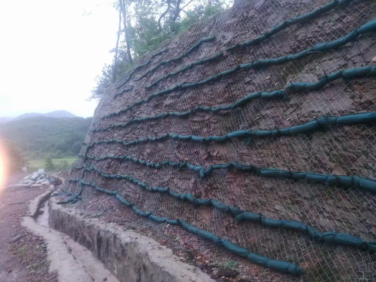 光明区耐碱网格布价格