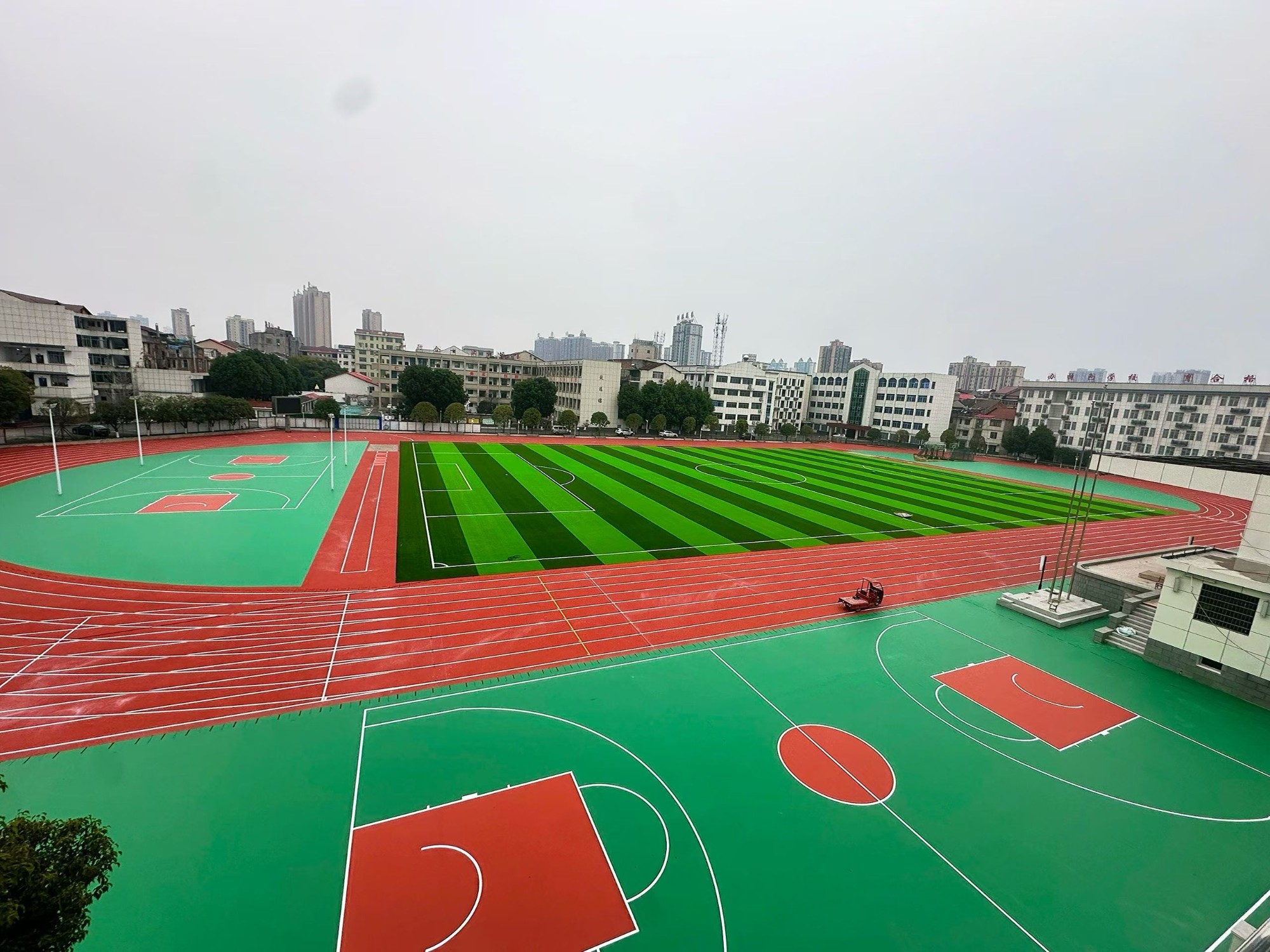 南部县运动草坪价格