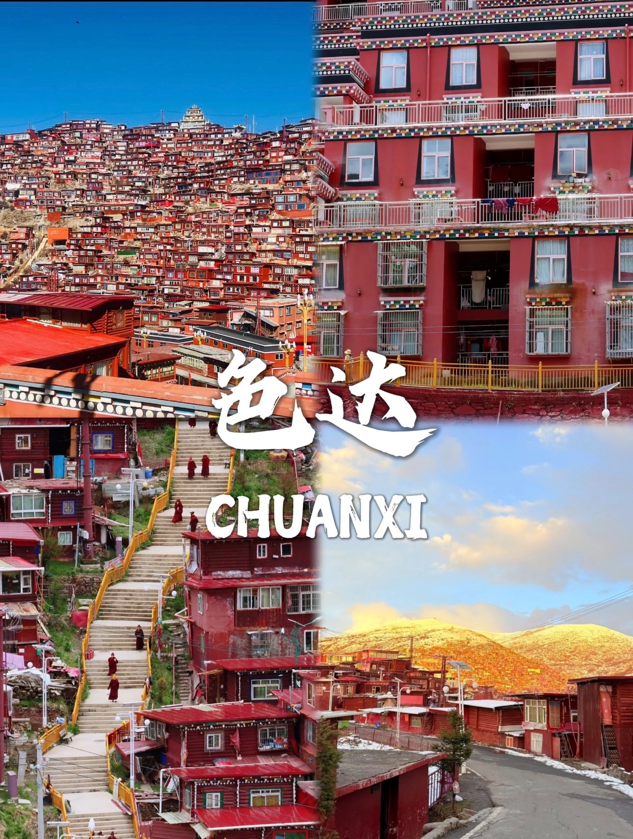 津市市北港村旅游推荐