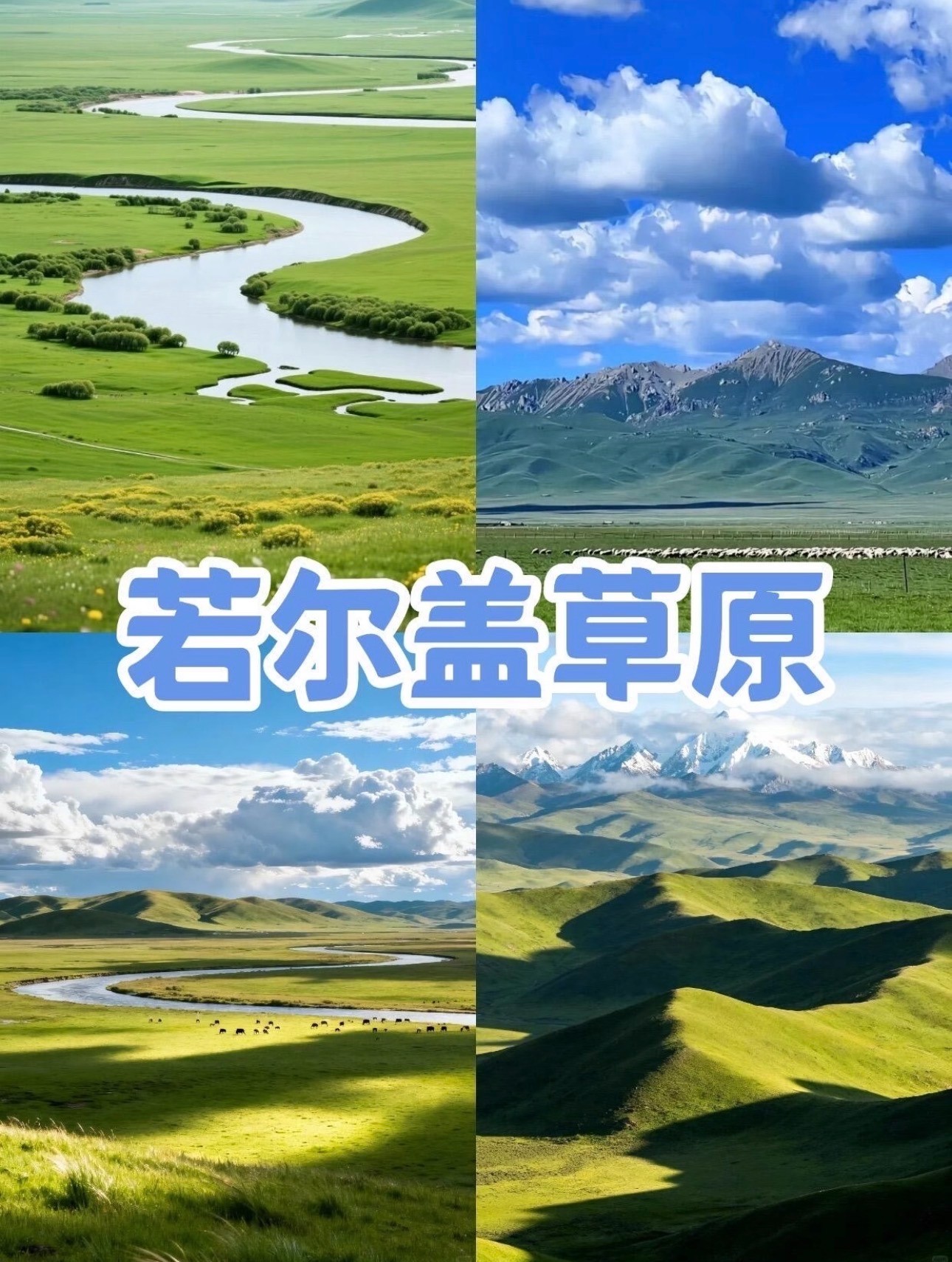 津市市北部湾生态廊道排名