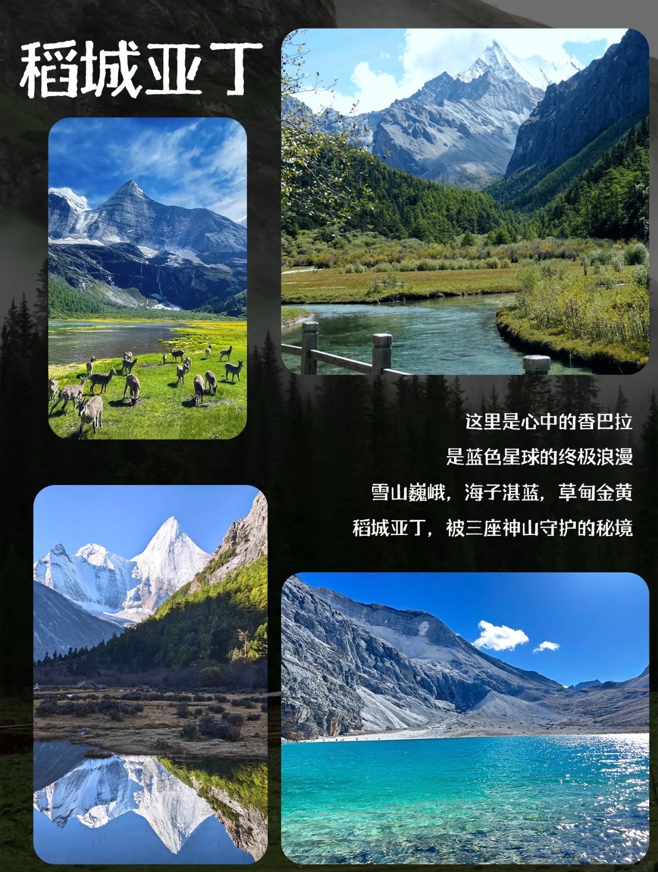 哈尔滨市新都桥旅游价格