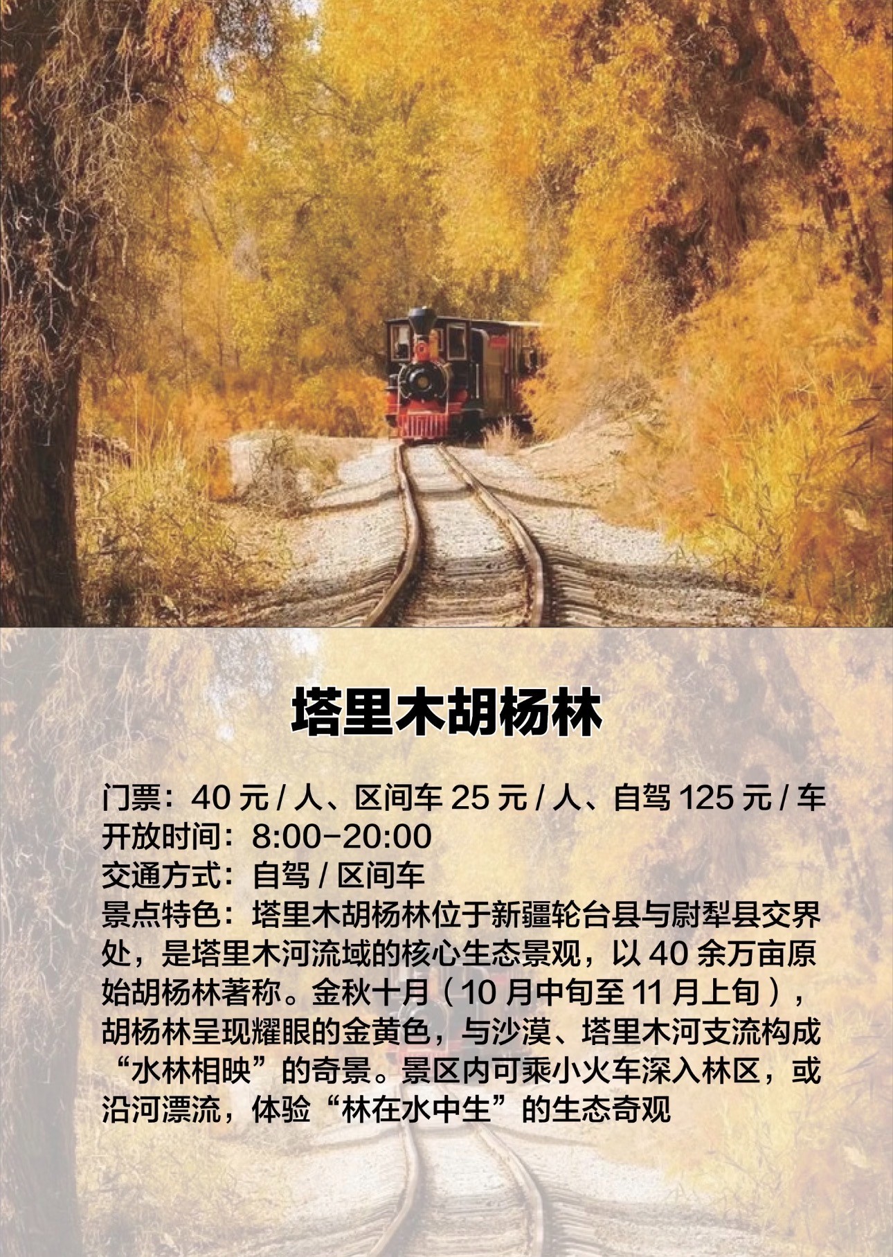 龙文区张掖旅游哪里有