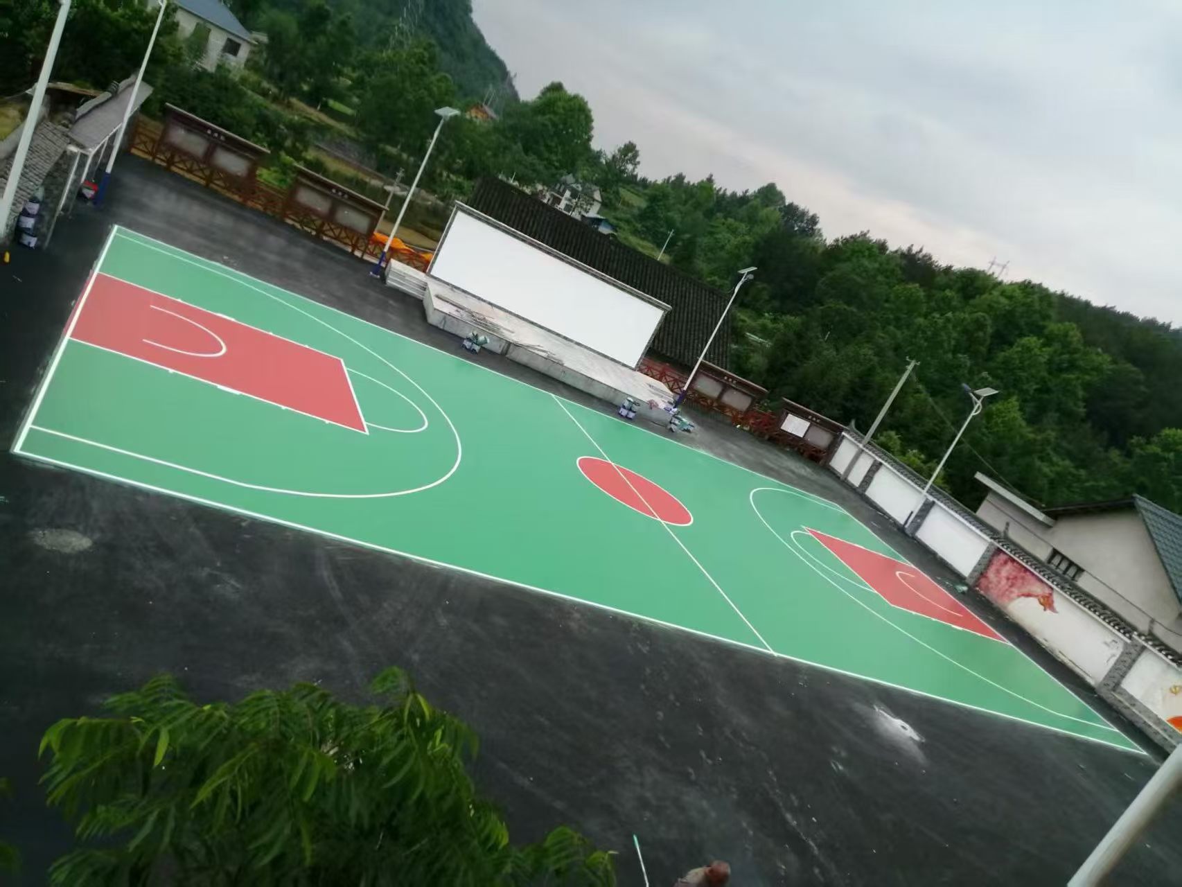 浙江地毯草坪价格