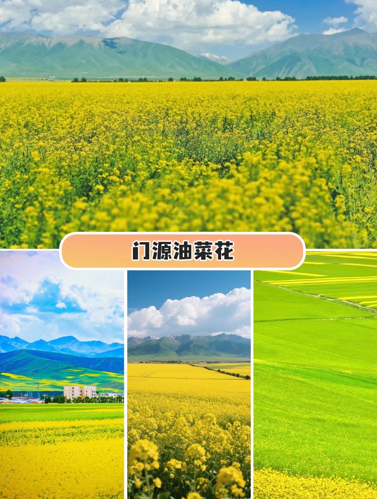 邢台市世界魔鬼城旅游多少钱