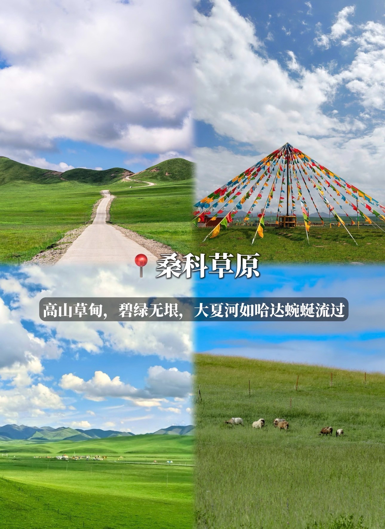 武夷山市黑独山旅游供应商