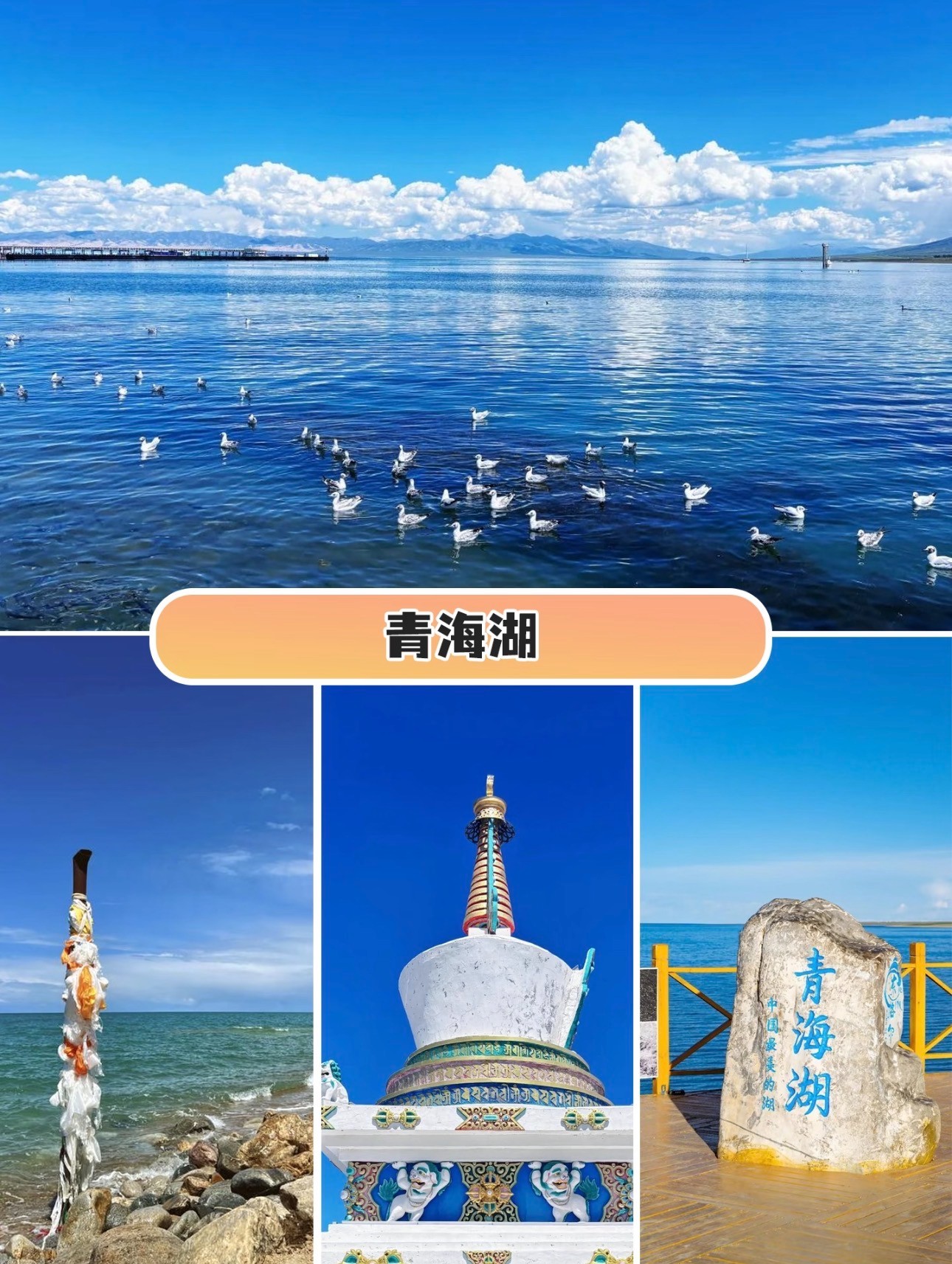 路南区伊宁旅游哪家好