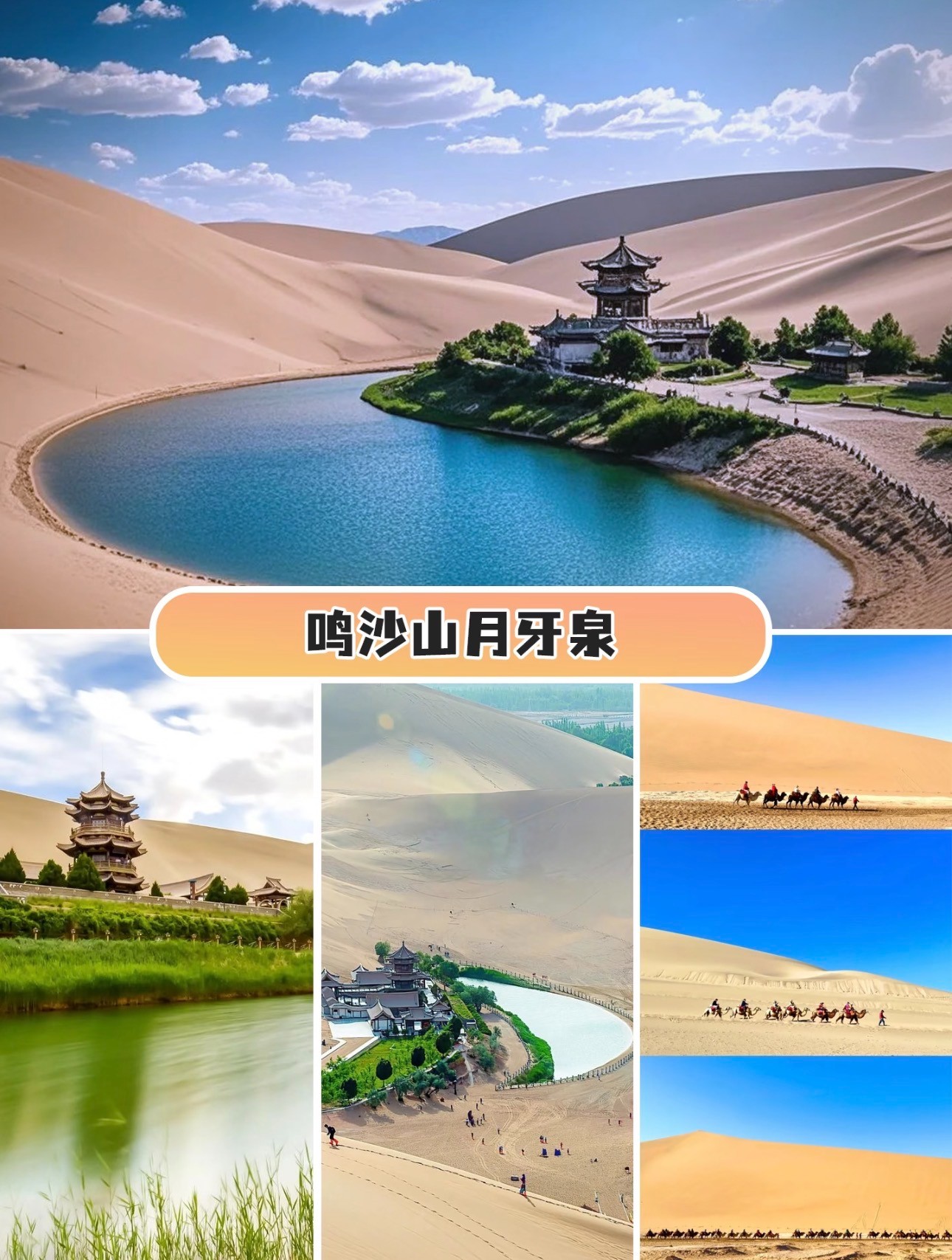 姑苏区迭部县旅游价格