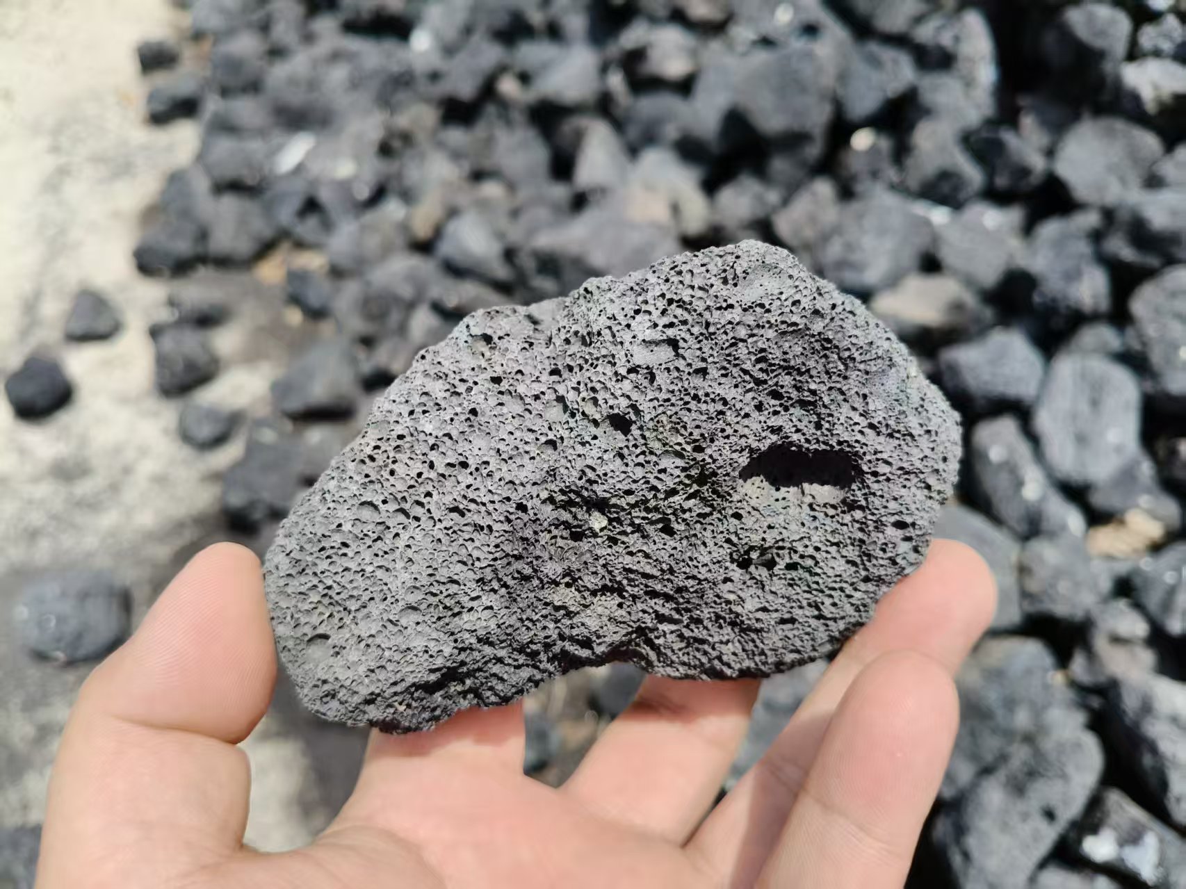 昌江区透水土工布哪家好