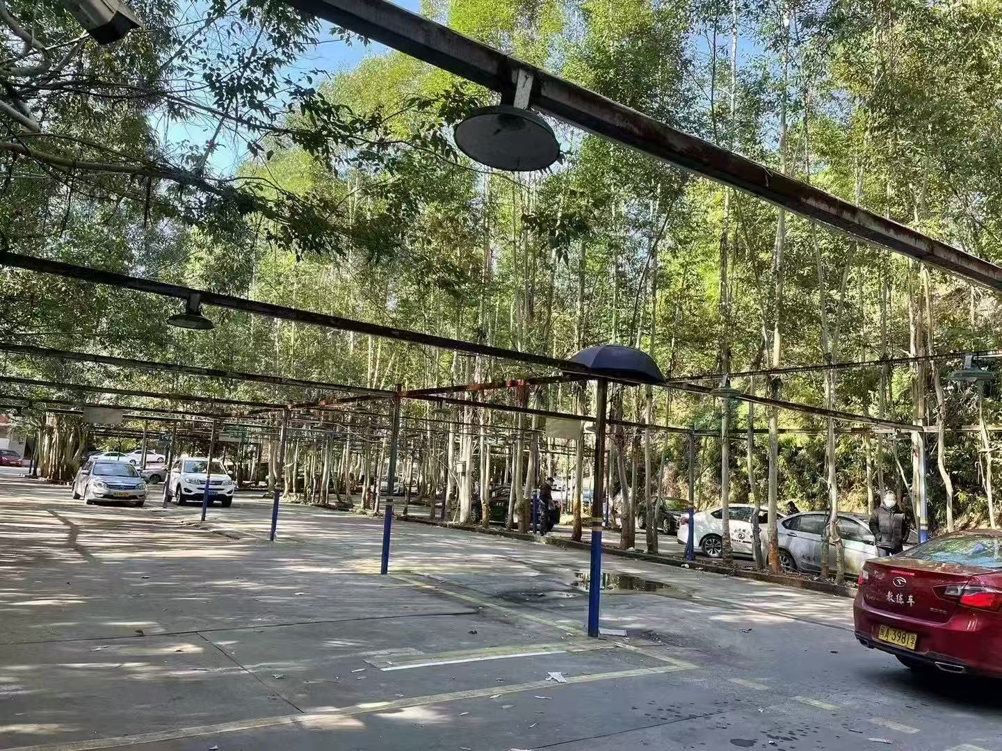 驾校培训