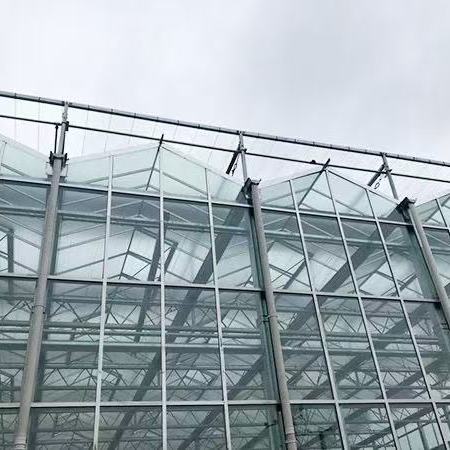 保定市玻璃温室大棚