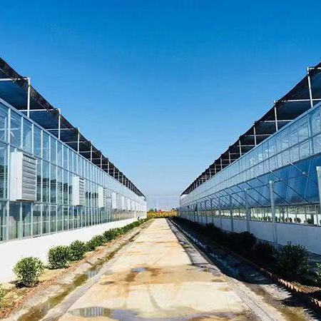 泉州市智能玻璃温室大棚承建商