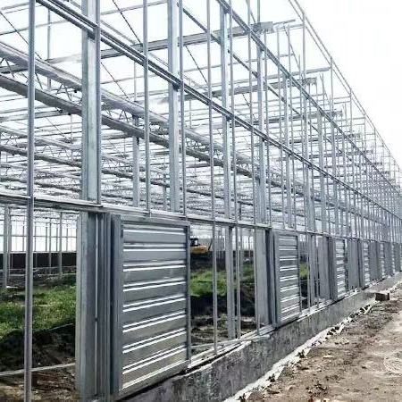 保定市蝴蝶兰养殖温室