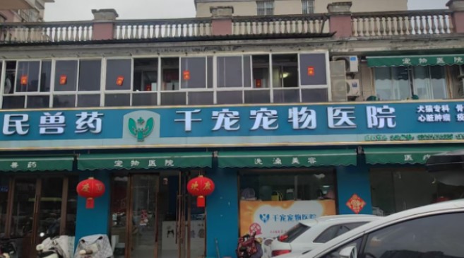 淮安宠物手术