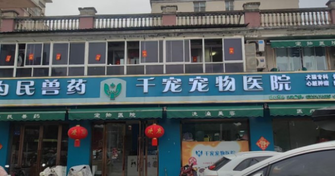 淮安宠物骨科