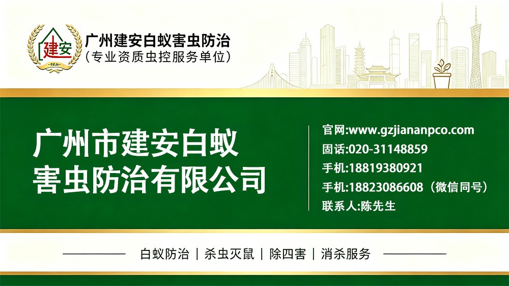 建安白蚁害虫防治