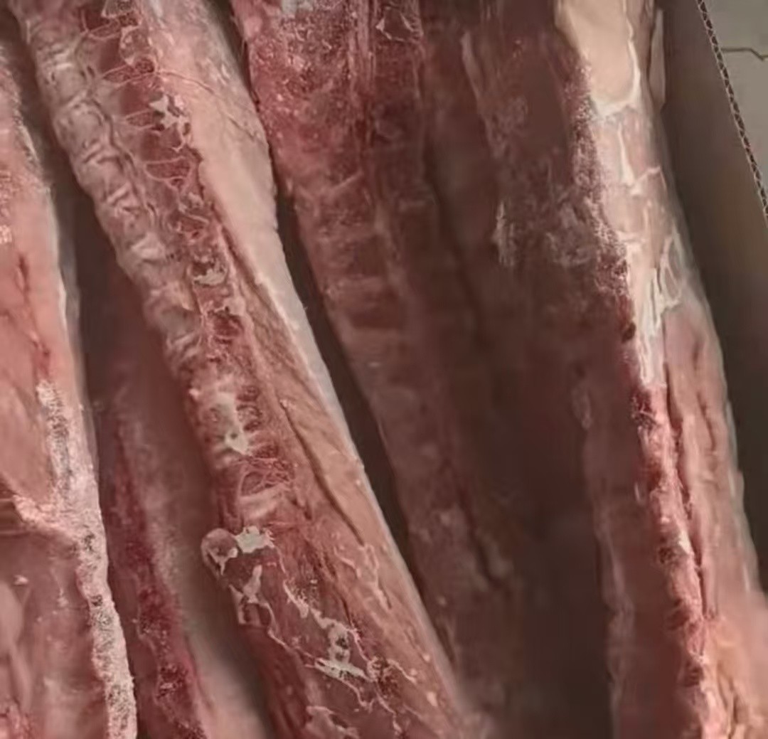 扇子骨