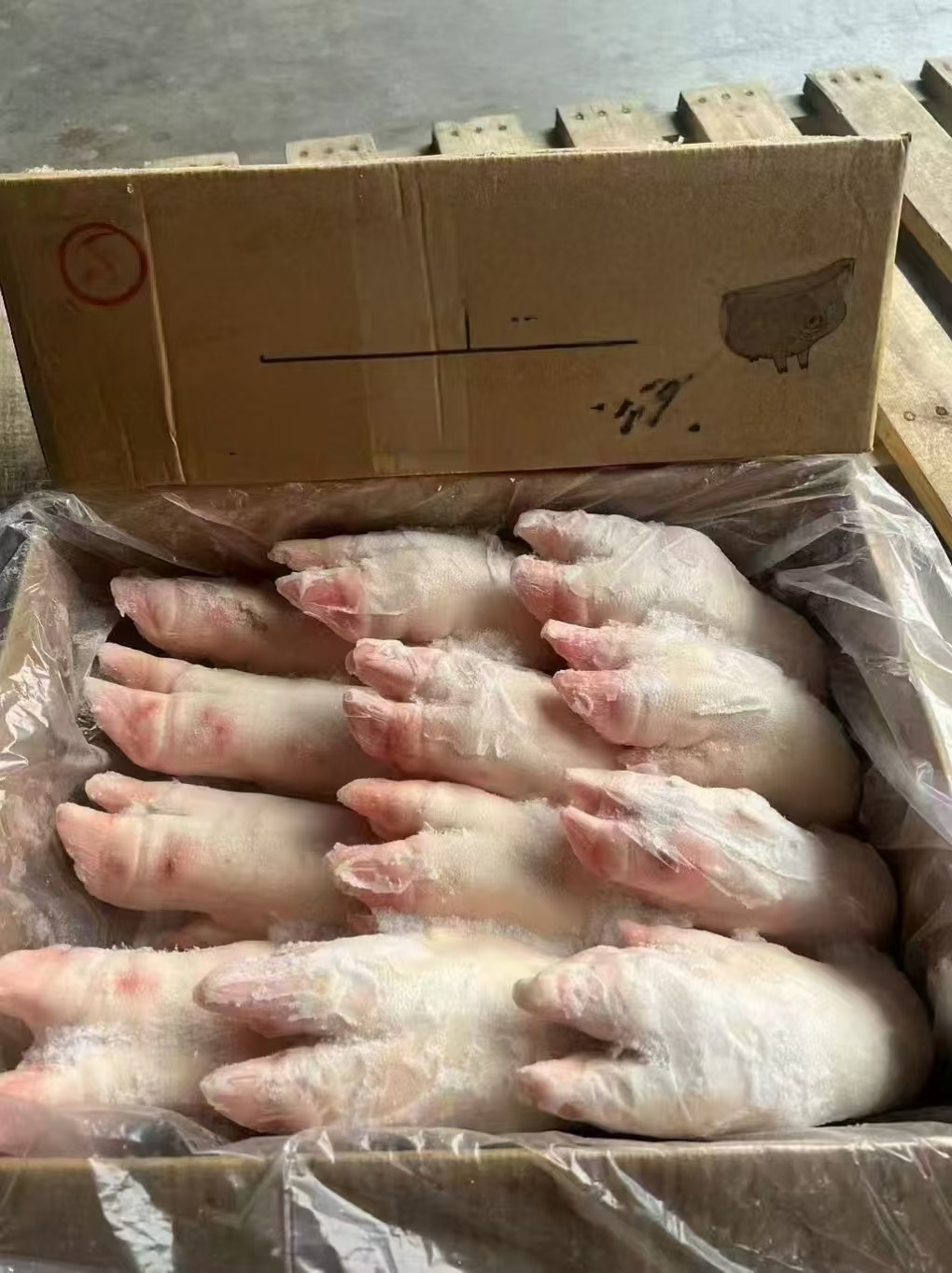 猪心