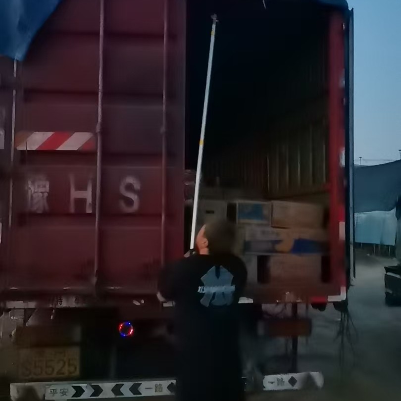 德城工程用一串红批发商工程用一串红基地实拍
