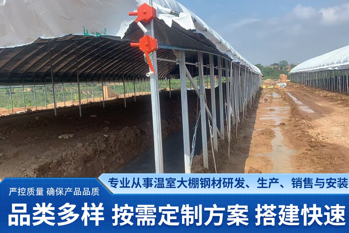果树大棚