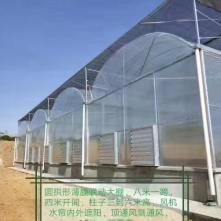 保定市智能大棚厂家