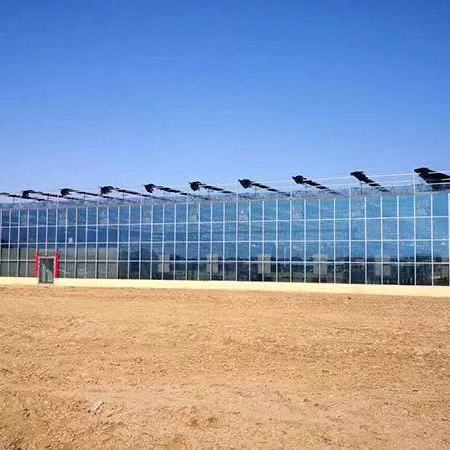 保定市花卉大棚公司