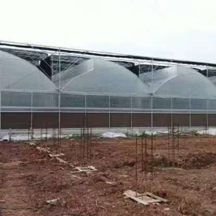 保定市连栋大棚承建商