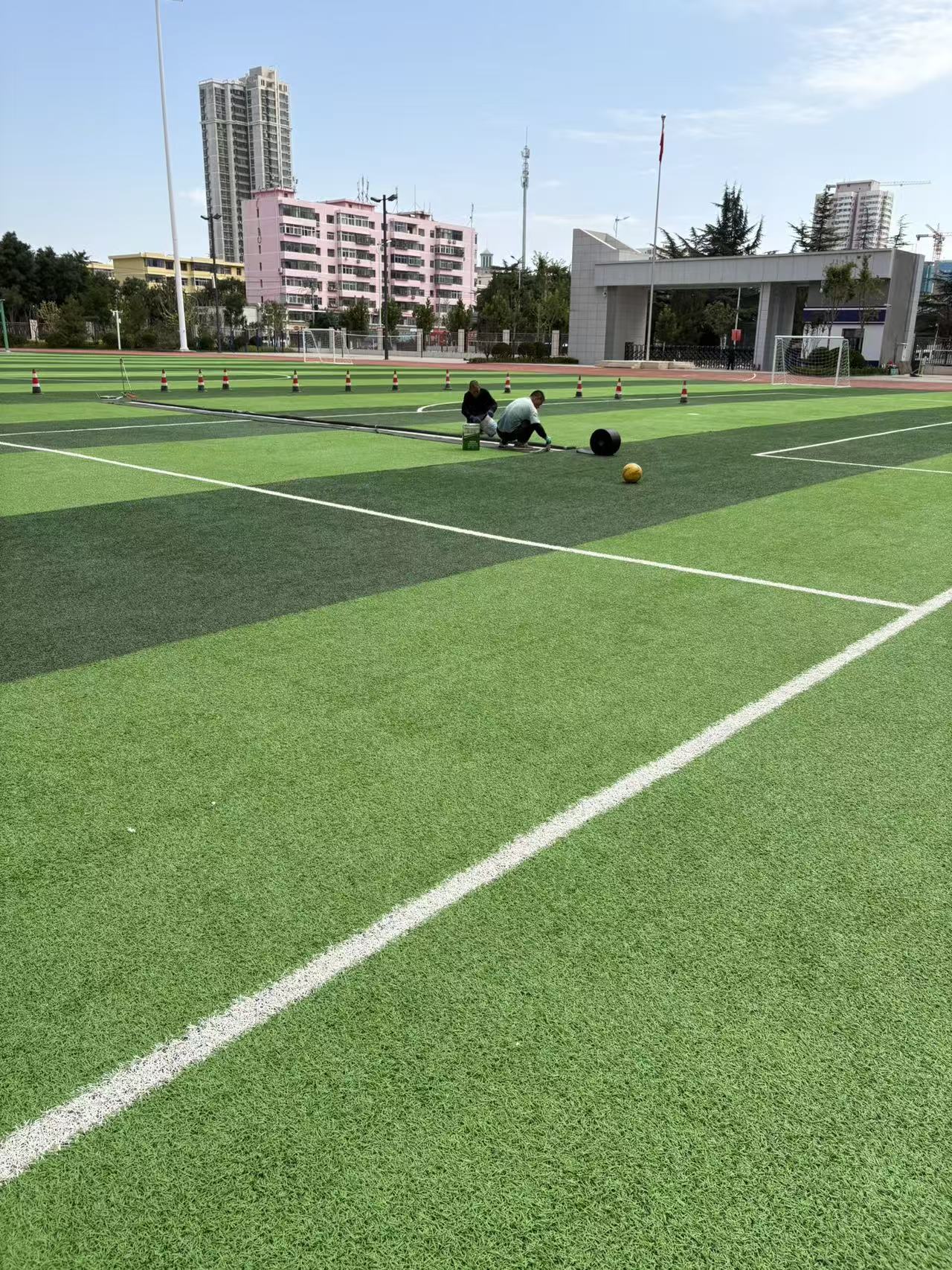 定西人造草坪 - 环氧地坪漆施工公司系列产品