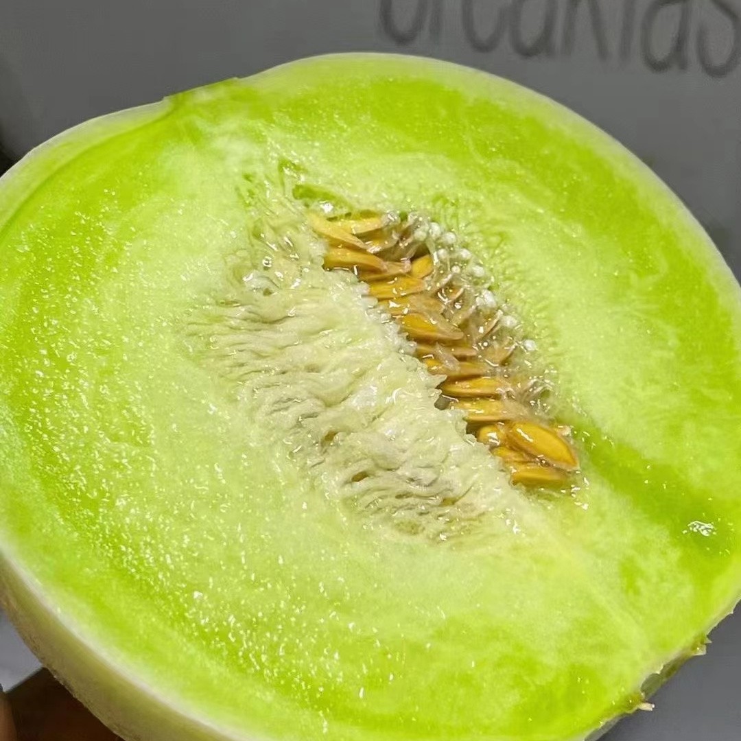 盘锦脆甜甜瓜种子
