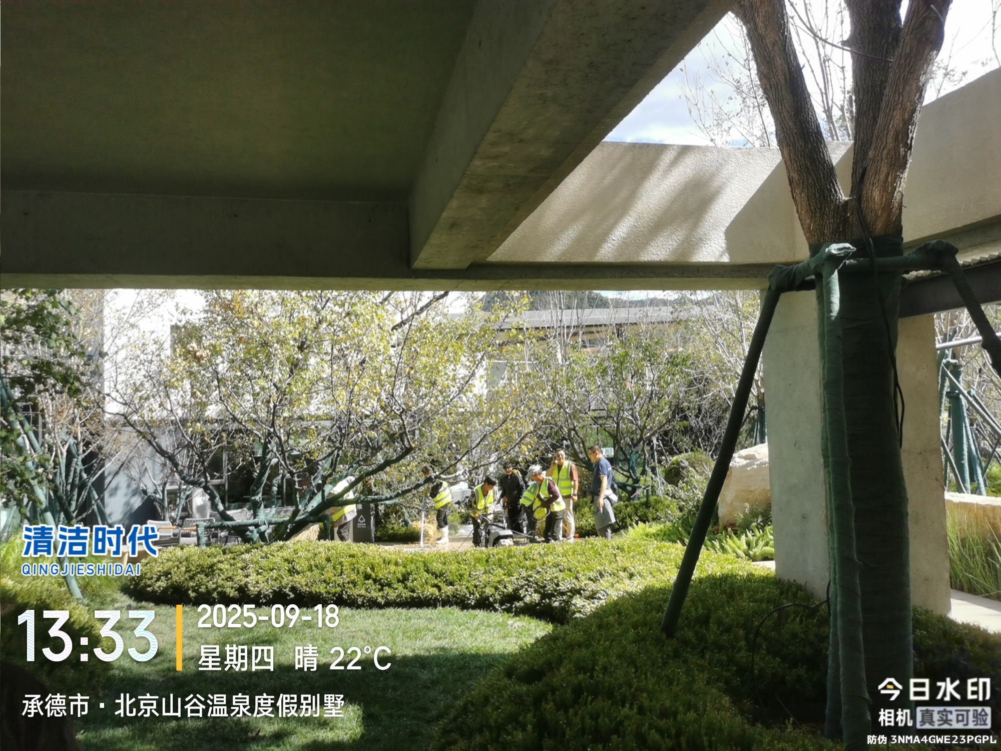 河西洗扫一体机器人实力公司绿植租摆