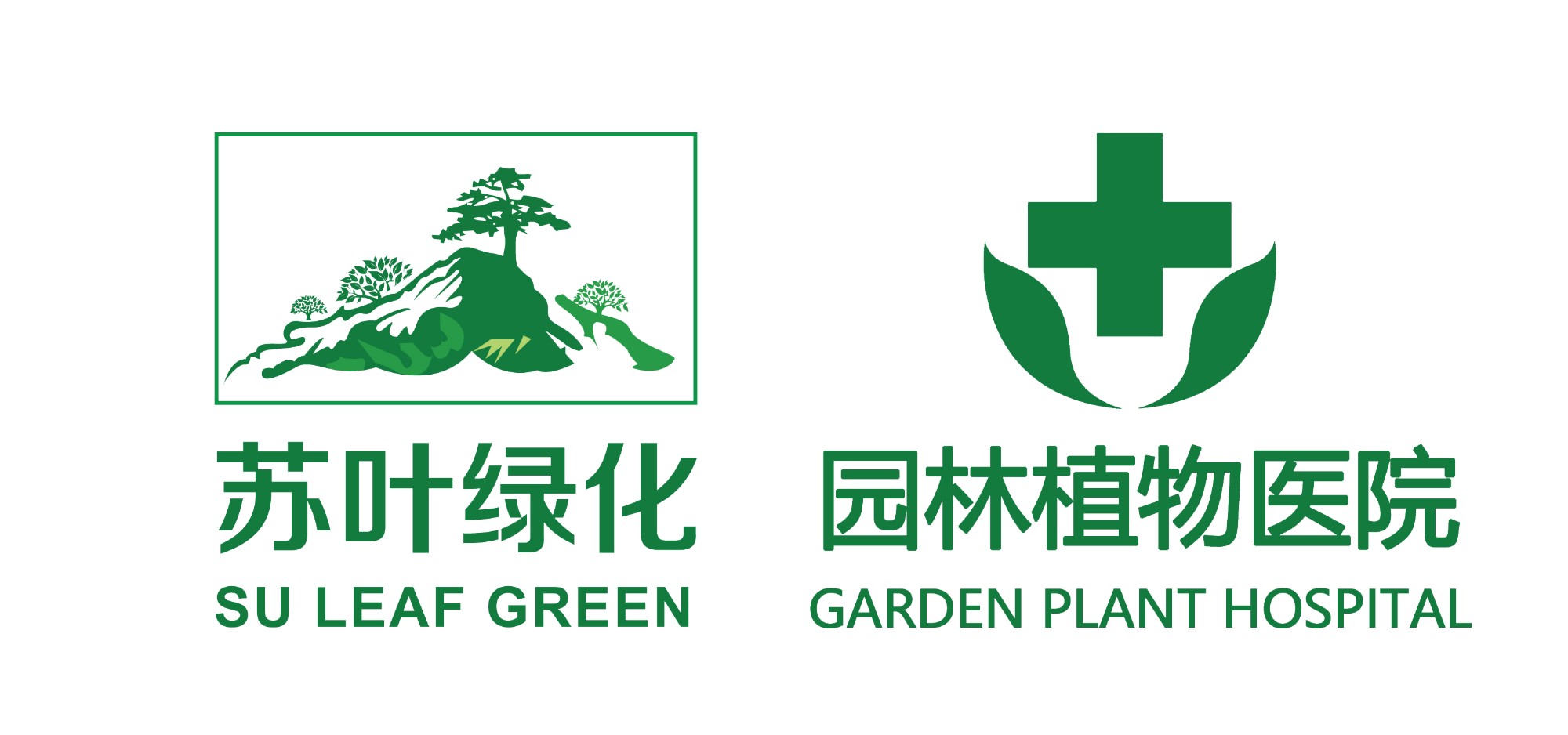 白蚁灭杀