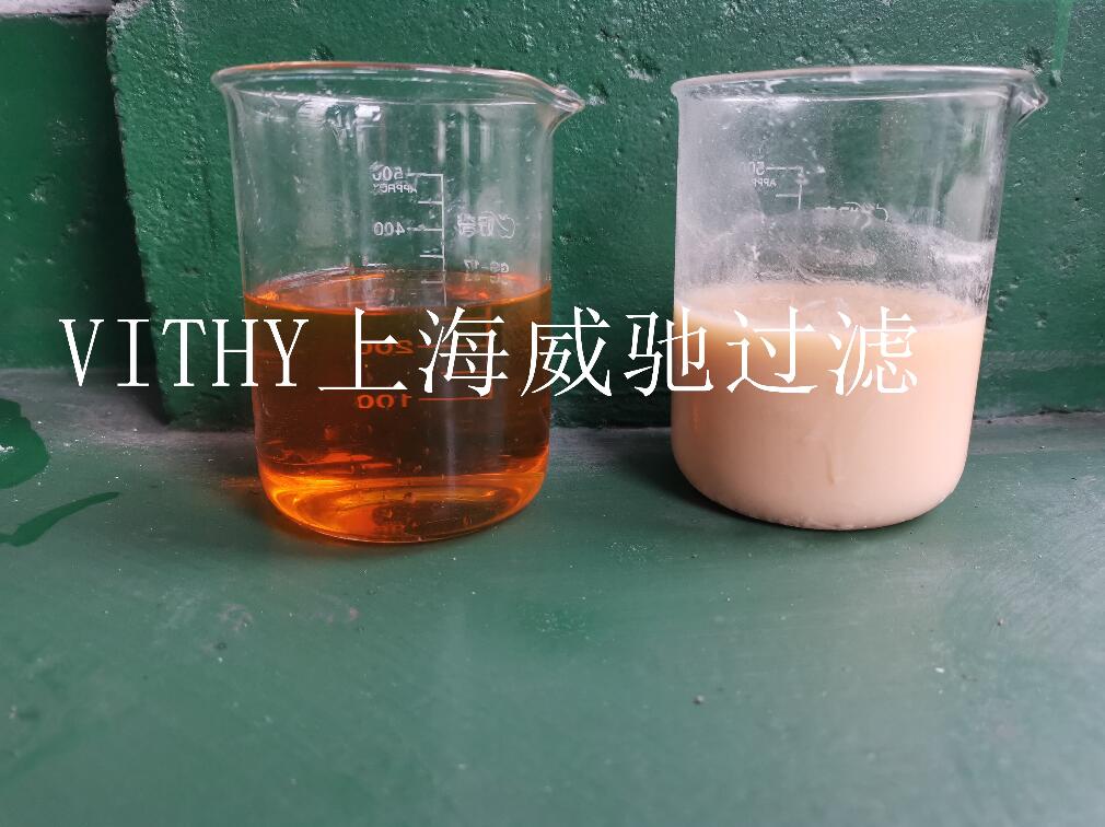 脱干饼过滤器-PE滤芯生产厂家