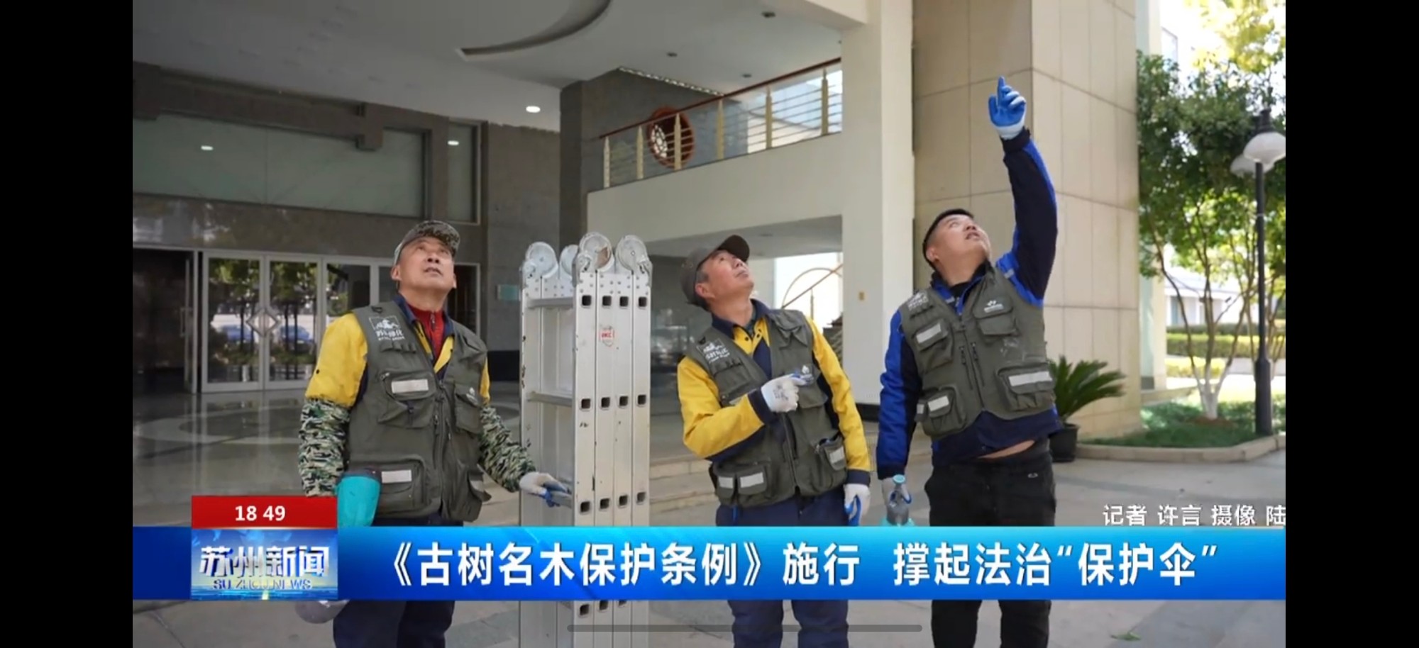 白蚁防治