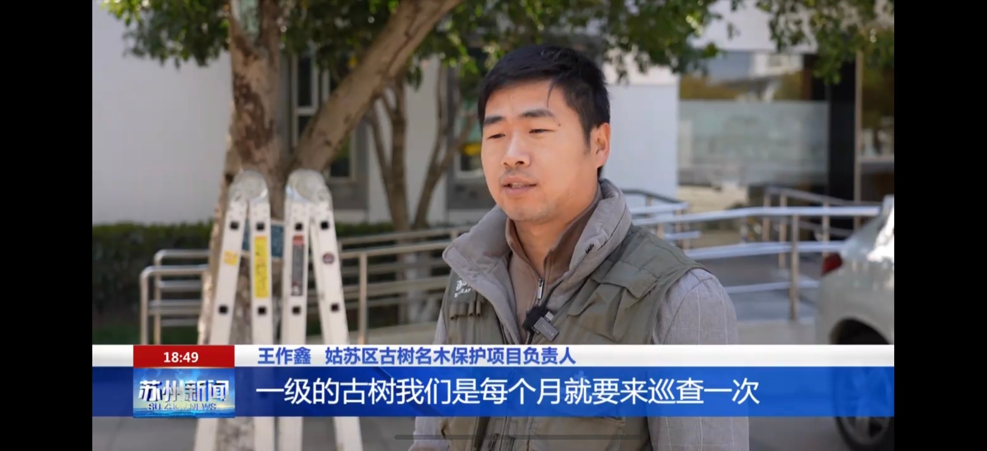 白蚁消杀