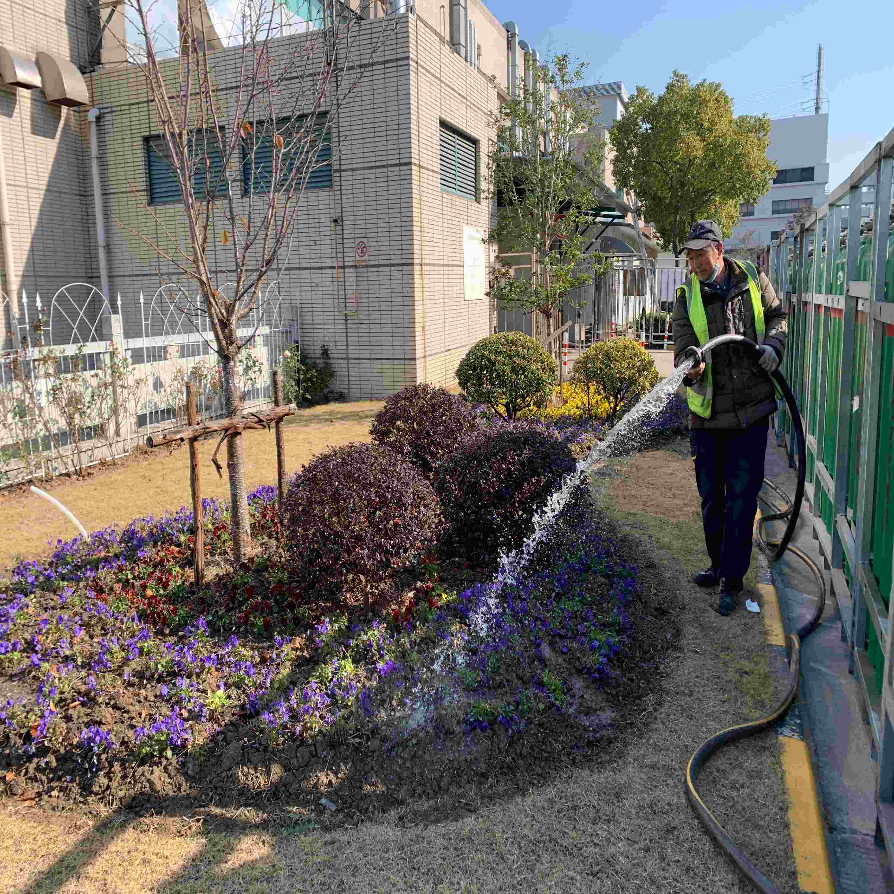 花镜设计
