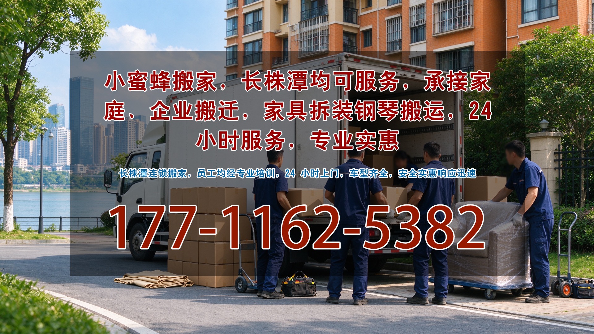 小密蜂搬家