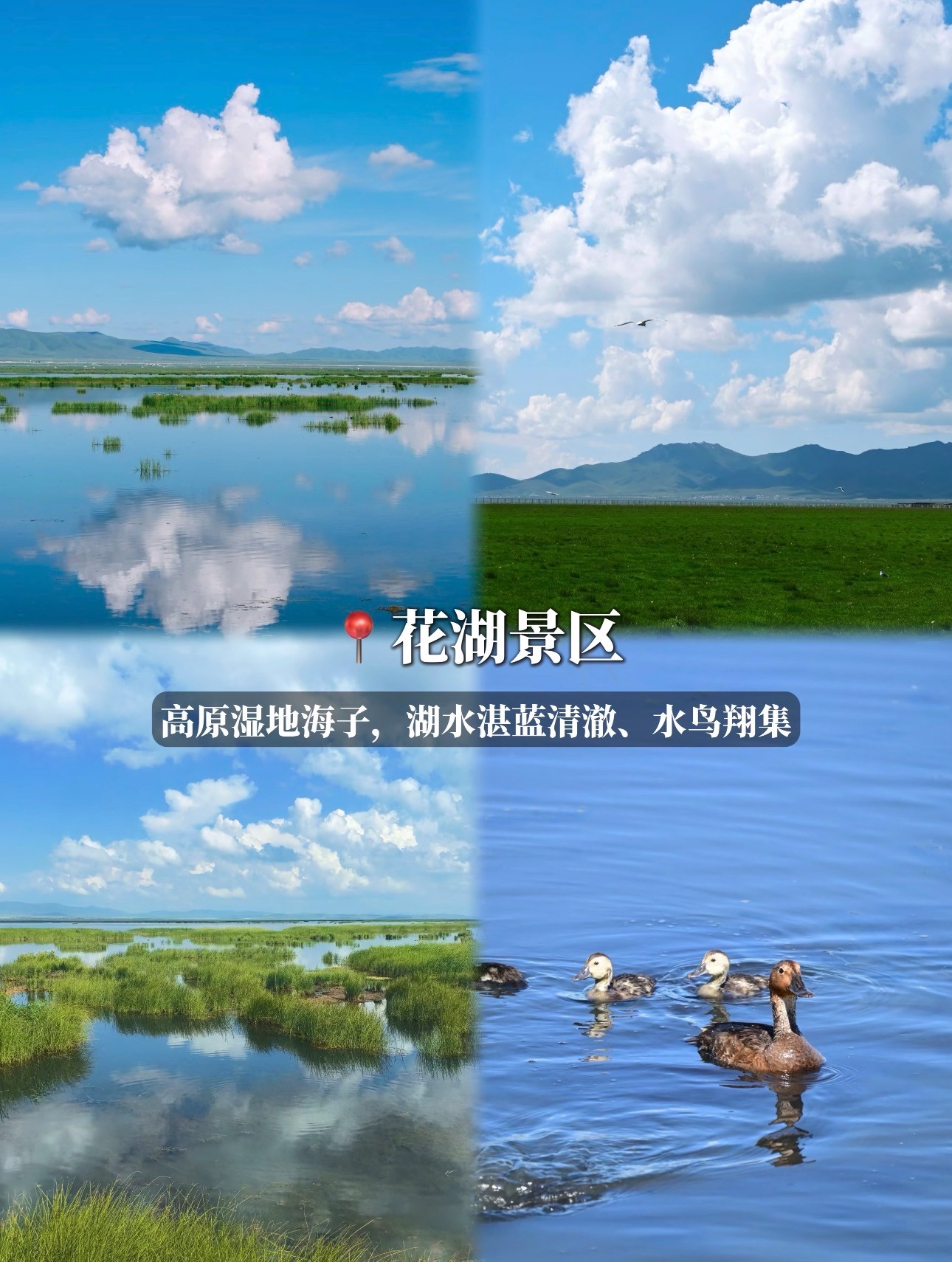 佛山游客扎尕那出游实拍