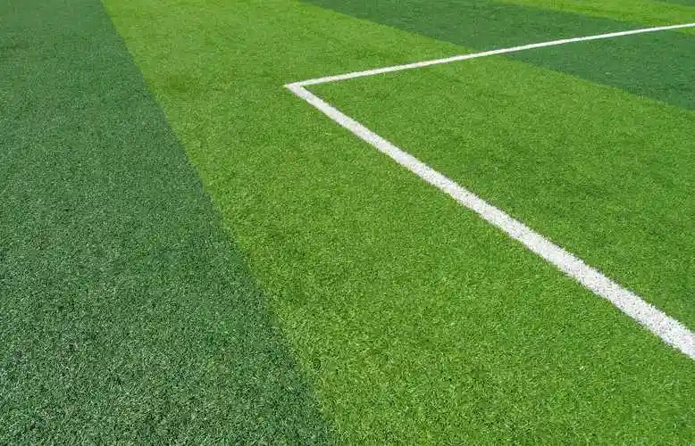 高尔夫场草坪仓储实拍