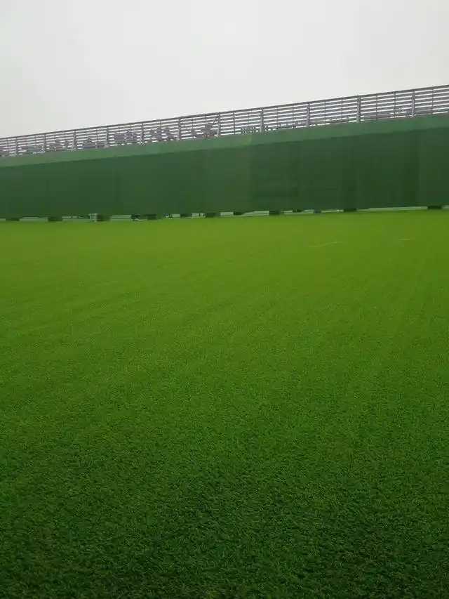 草坪胶加工原材料实拍