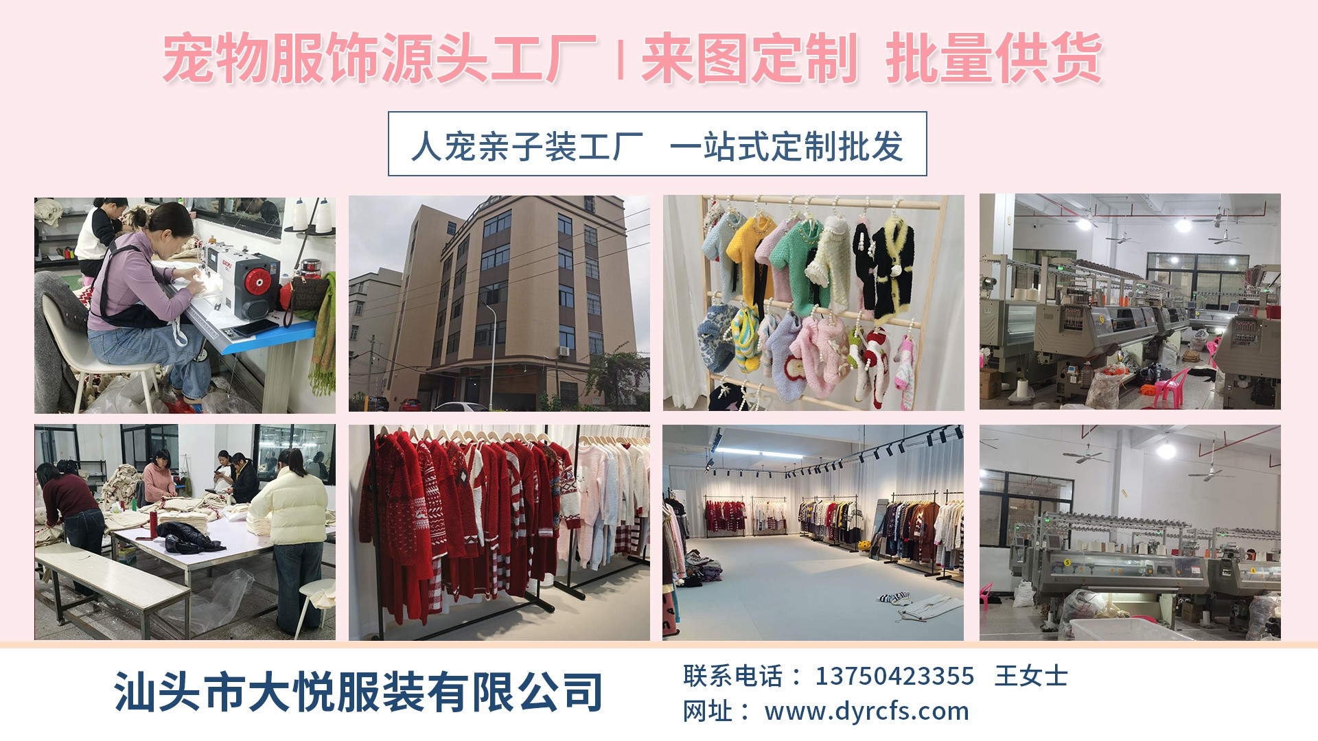 万圣节主题狗狗**毛衣实拍