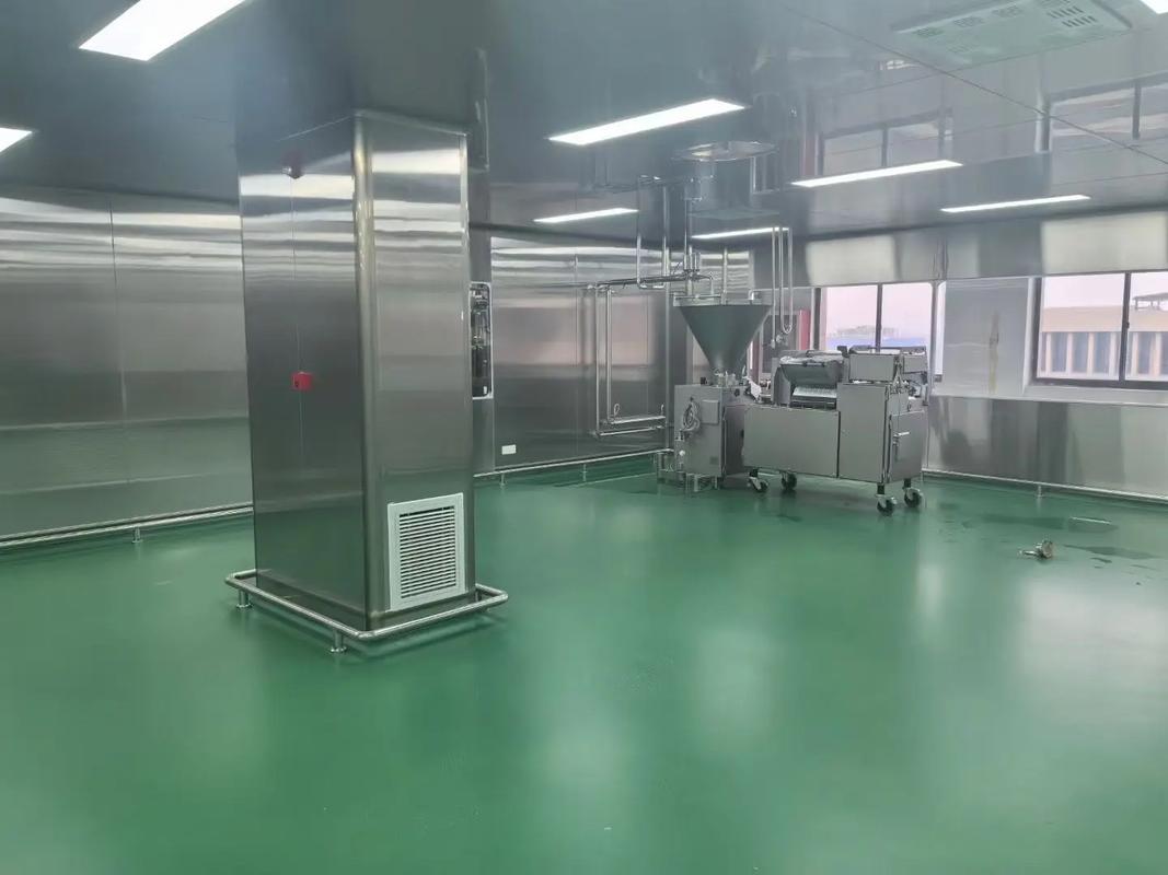 德安无尘车间施工现场