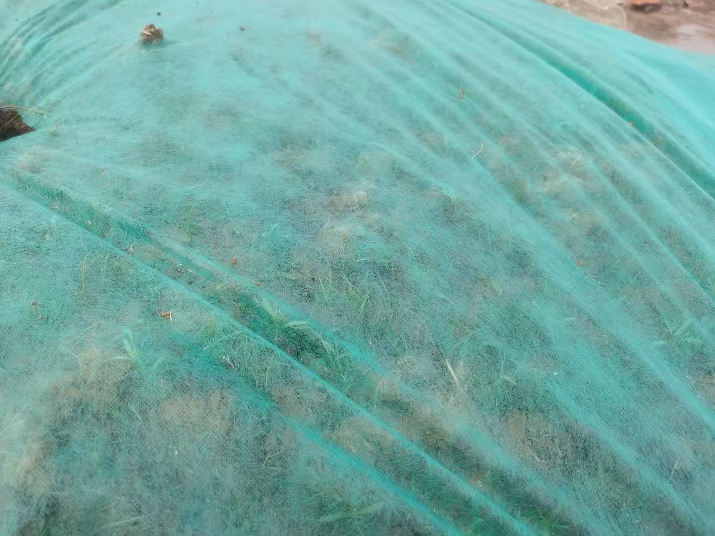 客土喷播植草施工场景
