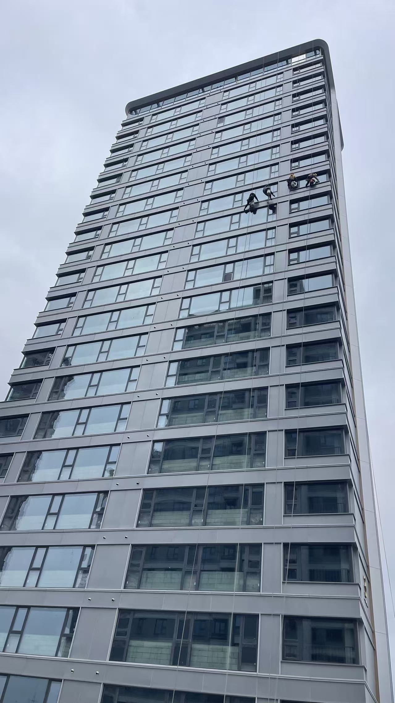 专业木地板养护施工场景