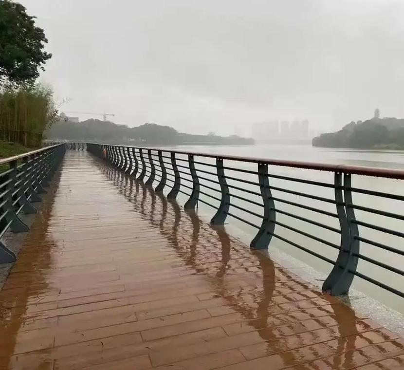 高架桥栏杆生产成品展示