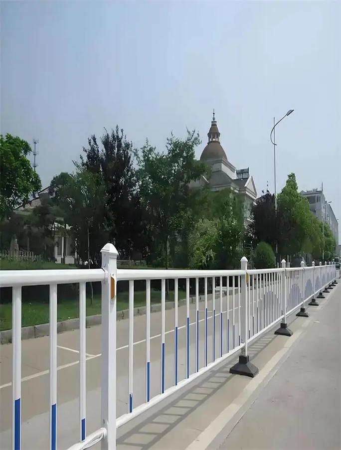 主桥侧防撞护栏实拍图