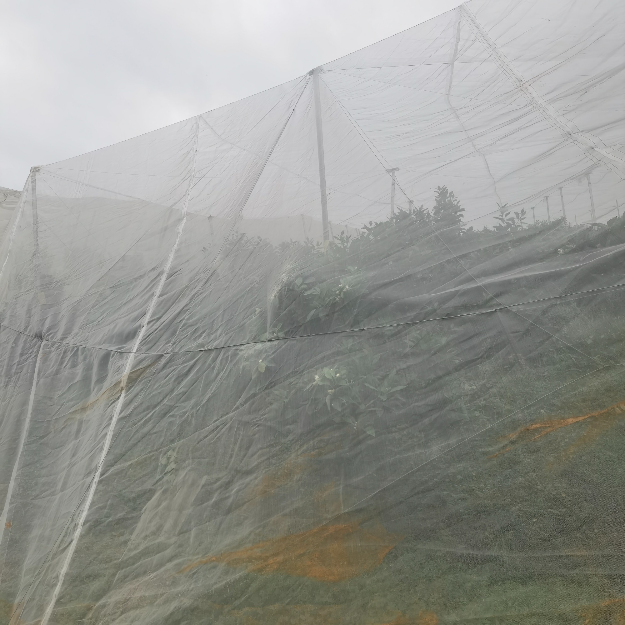 加密防虫网生产车间实景