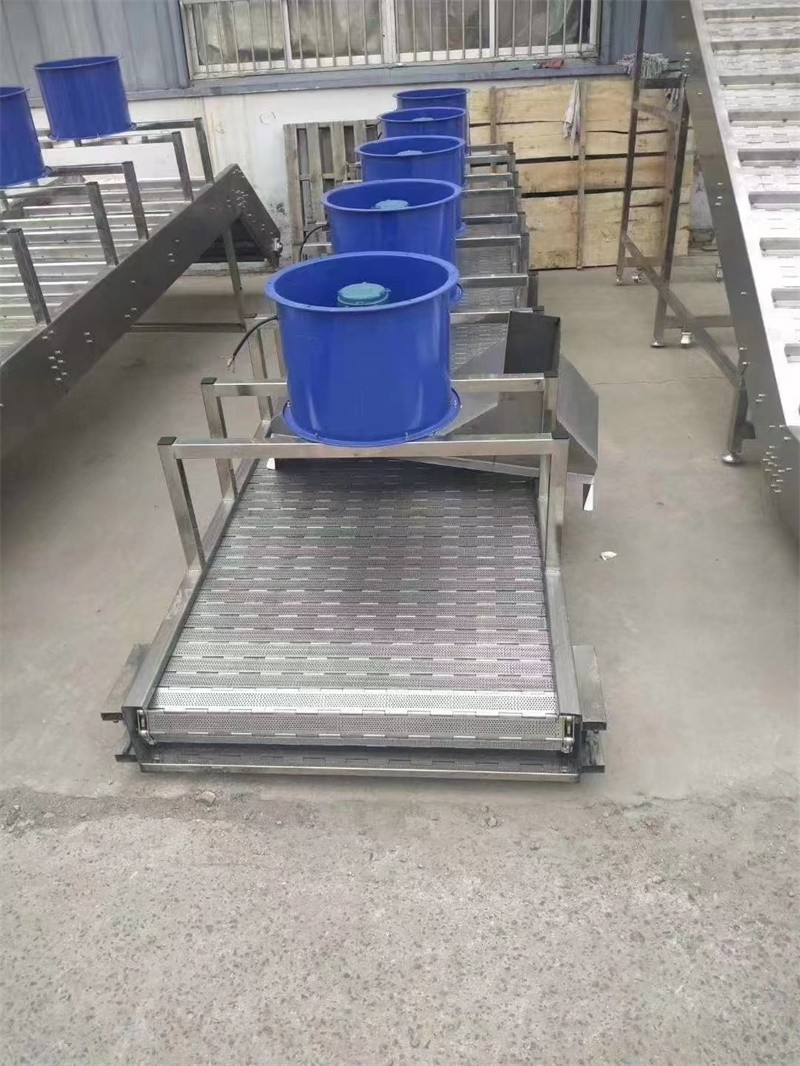 平顶链板输送机实拍