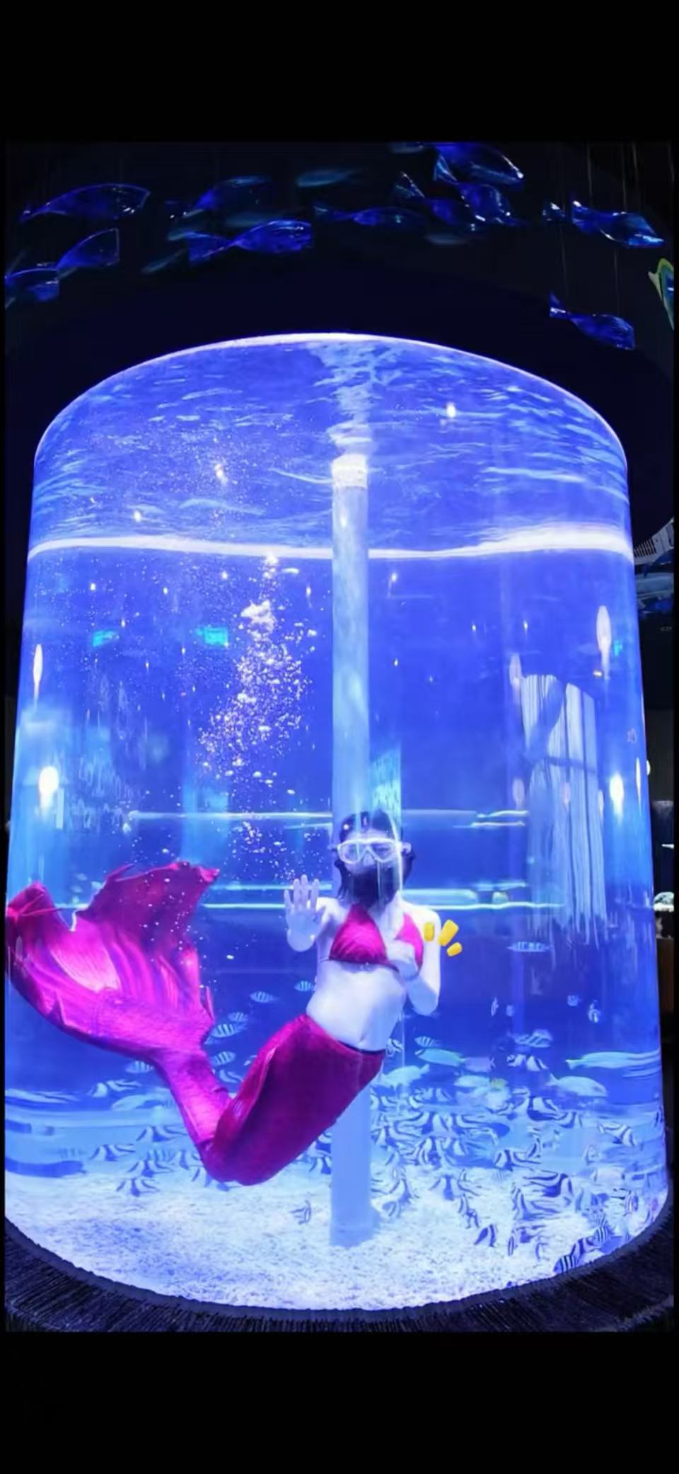 水族缸项目现场