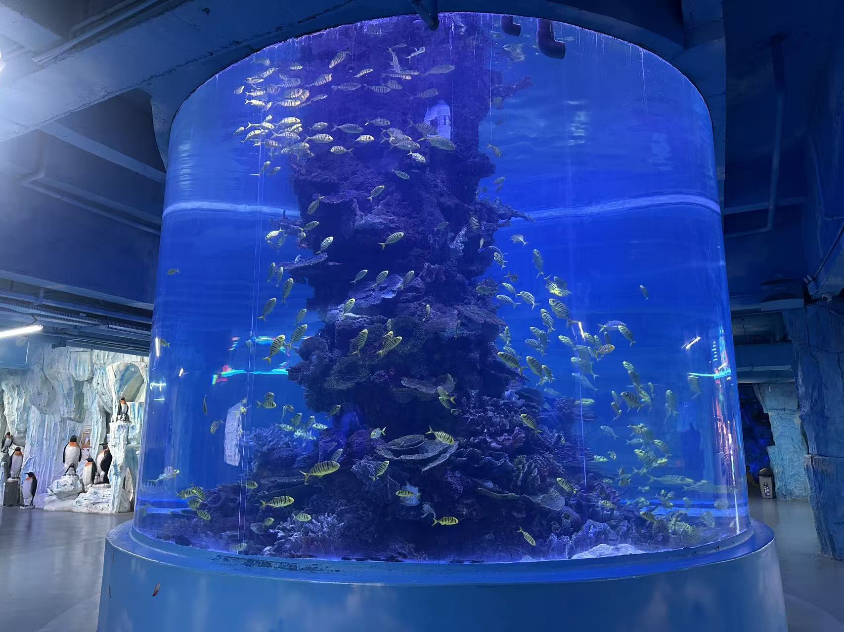 大型定制亚克力水族馆鱼缸