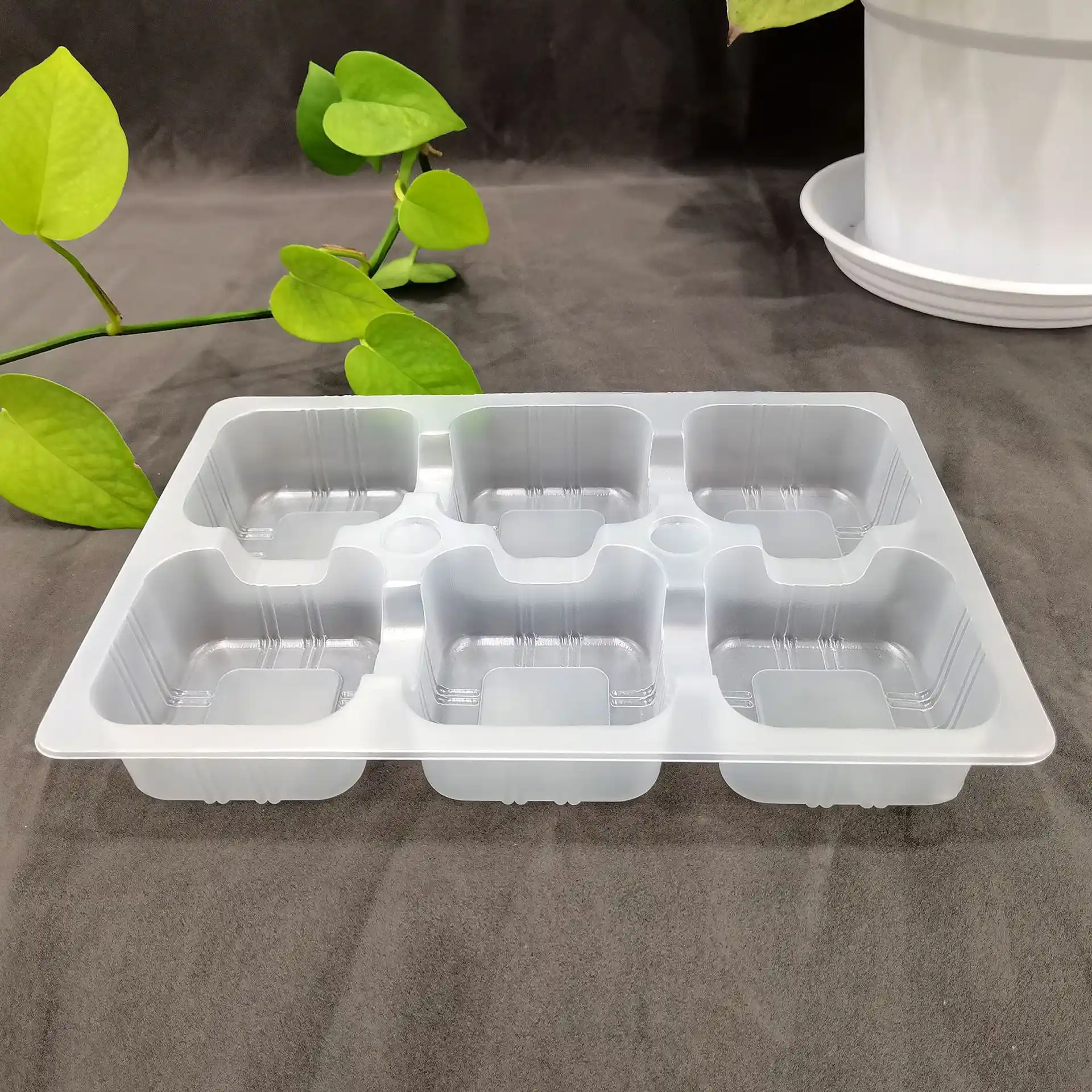 上海薄片吸塑盒生产实拍